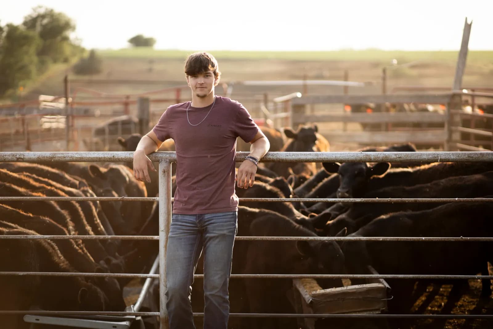 Senior boy in front of cows