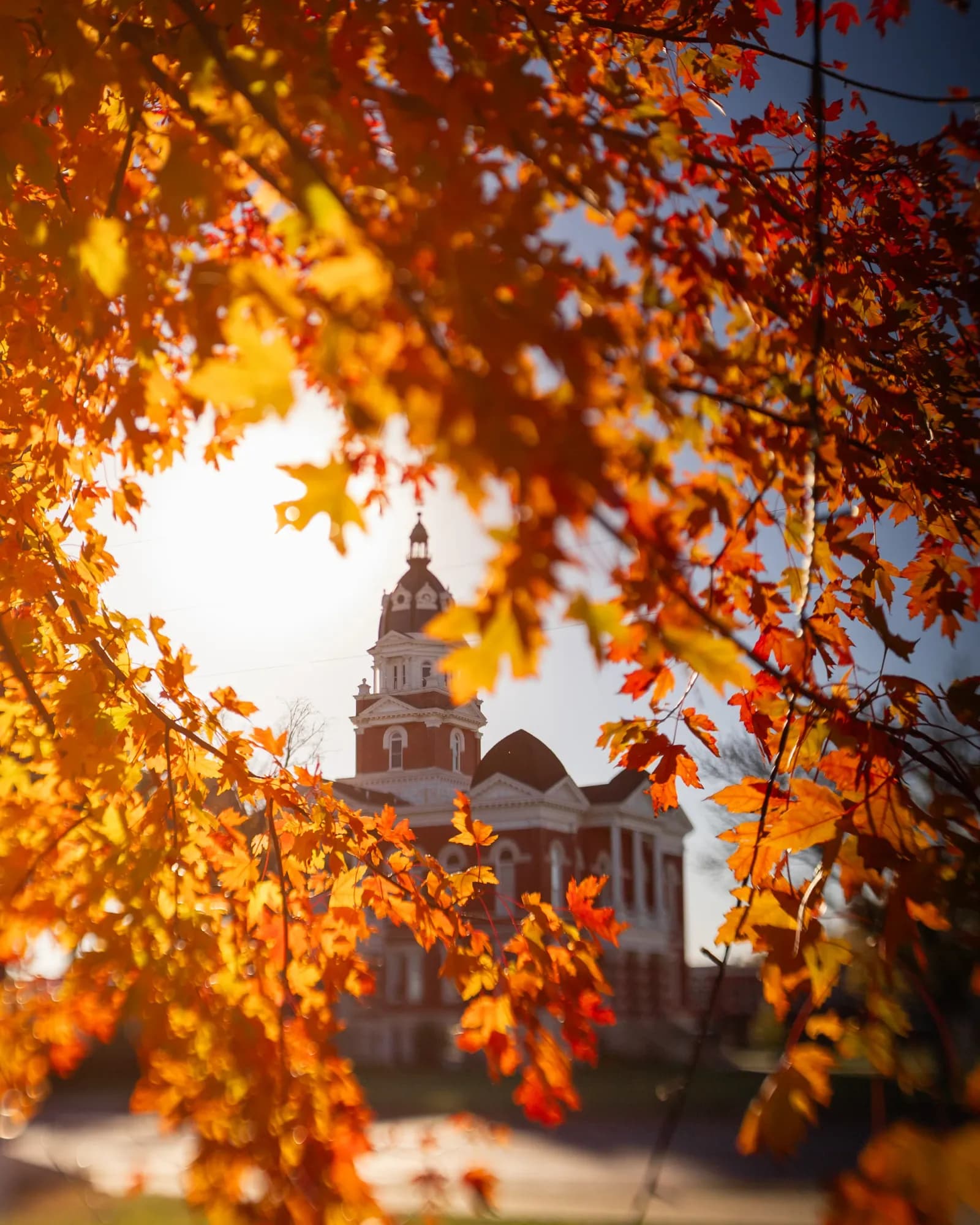 Courthouse thru trees